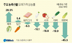 ‘金배추’ 도매가 1포기 9,000원 육박…김장철 앞둔 서민 가계 시름